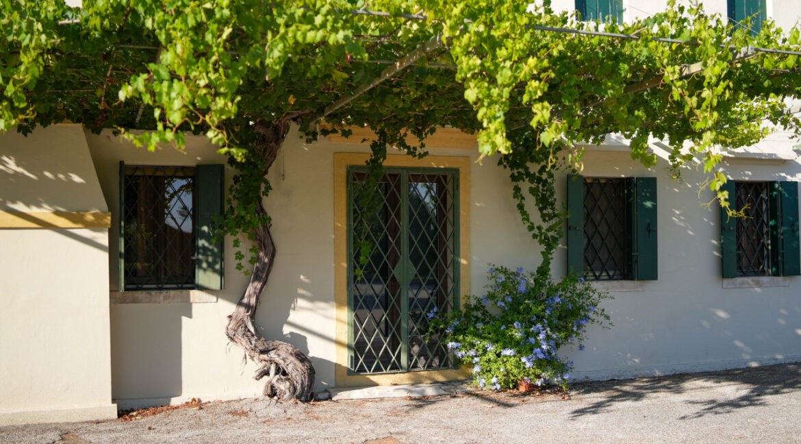 Punto Immobiliare-Agenzia Padova-Casa singola-Chioggia-5