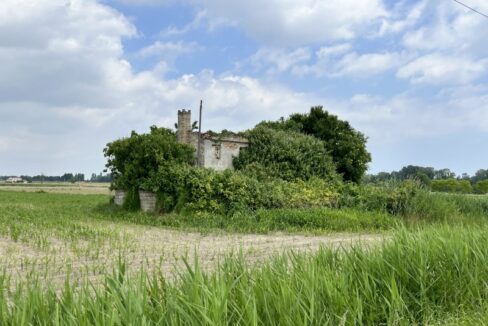 Punto Immobiliare-Agenzia Padova-Casa singola-Codevigo-3