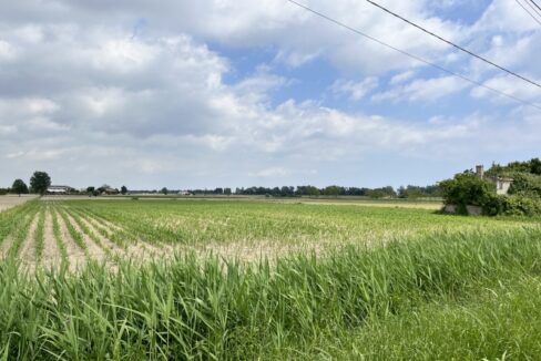 Punto Immobiliare-Agenzia Padova-Casa singola-Codevigo-11