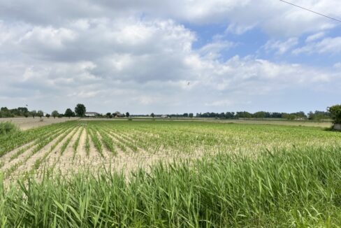 Punto Immobiliare-Agenzia Padova-Casa singola-Codevigo-12