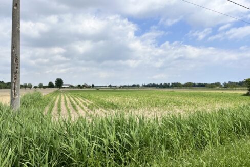 Punto Immobiliare-Agenzia Padova-Casa singola-Codevigo-13