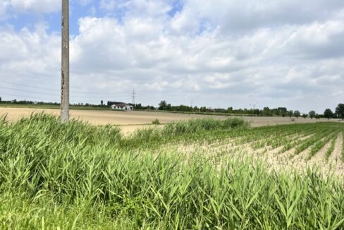 Punto Immobiliare-Agenzia Padova-Casa singola-Codevigo-14