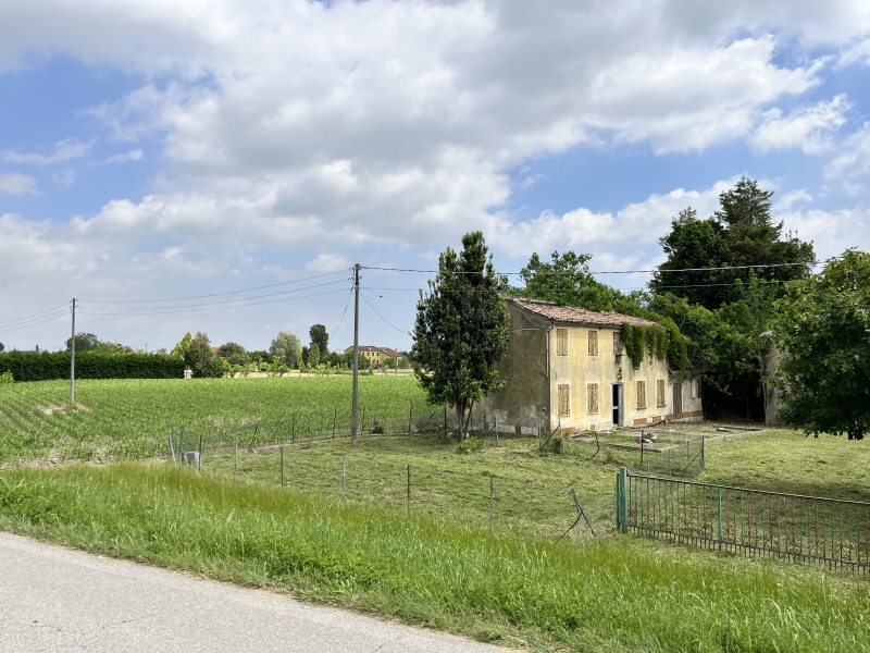 Punto Immobiliare-Agenzia Padova-Casa singola-Codevigo-4