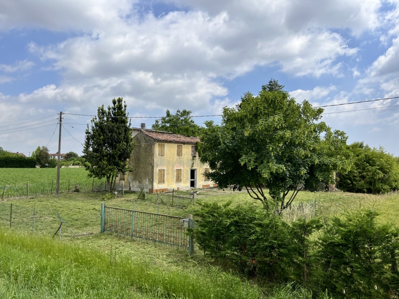 Punto Immobiliare-Agenzia Padova-Casa singola-Codevigo-5