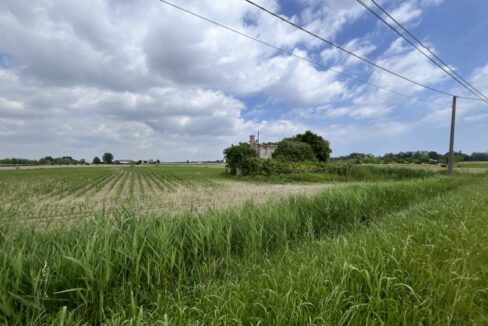 Punto Immobiliare-Agenzia Padova-Casa singola-Codevigo-6