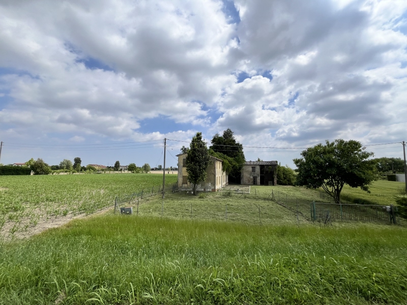 Punto Immobiliare-Agenzia Padova-Casa singola-Codevigo-6