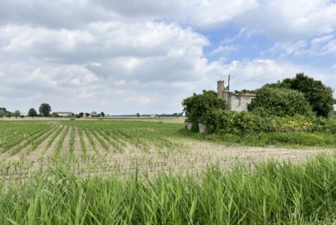 Punto Immobiliare-Agenzia Padova-Casa singola-Codevigo-7