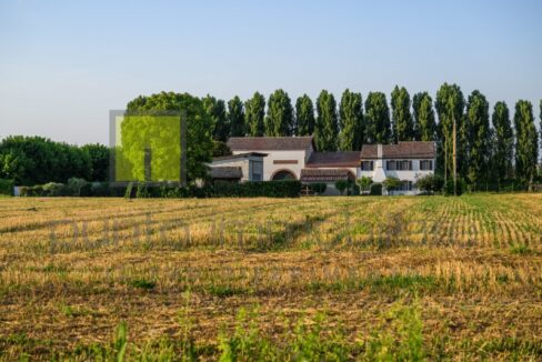 Punto Immobiliare-Agenzia Padova-Casa singola-Mestrino-3