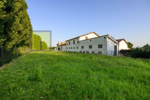 Punto Immobiliare-Agenzia Padova-Casa singola-Mestrino-15