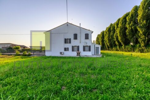 Punto Immobiliare-Agenzia Padova-Casa singola-Mestrino-16