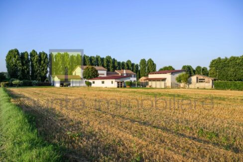 Punto Immobiliare-Agenzia Padova-Casa singola-Mestrino-4