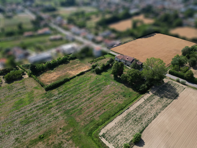 Punto Immobiliare-Agenzia Padova-Casa singola-Stra-5