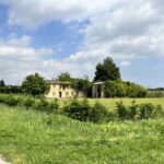 Punto Immobiliare-Agenzia Padova-Casa singola-Codevigo-1