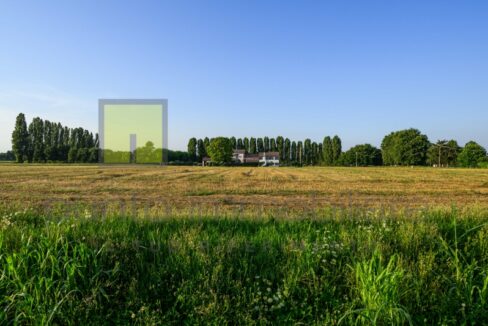 Punto Immobiliare-Agenzia Padova-Casa singola-Mestrino-1